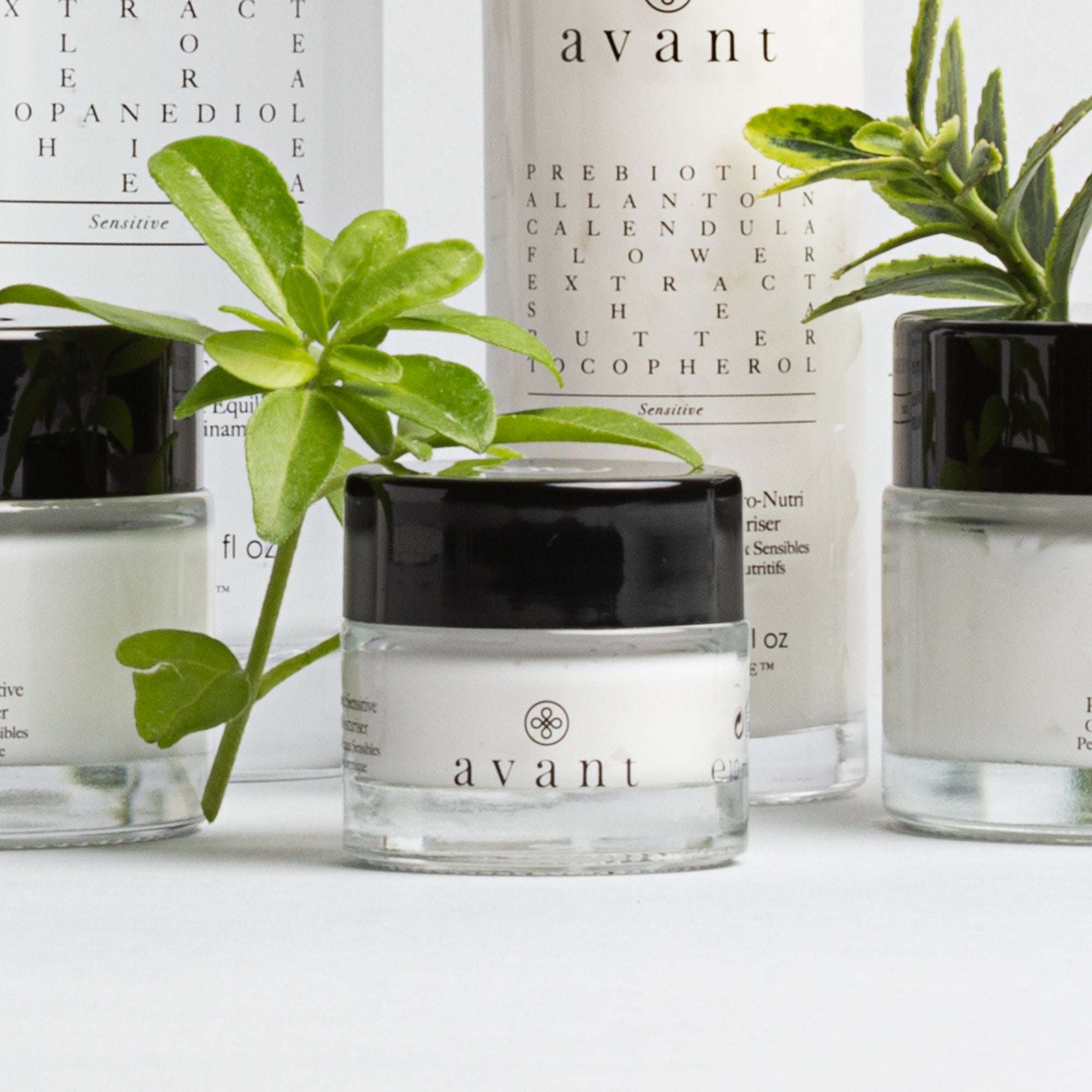 avant-eye-care-pro-refining-hyaluron-augencreme-sensitive-haut image 2